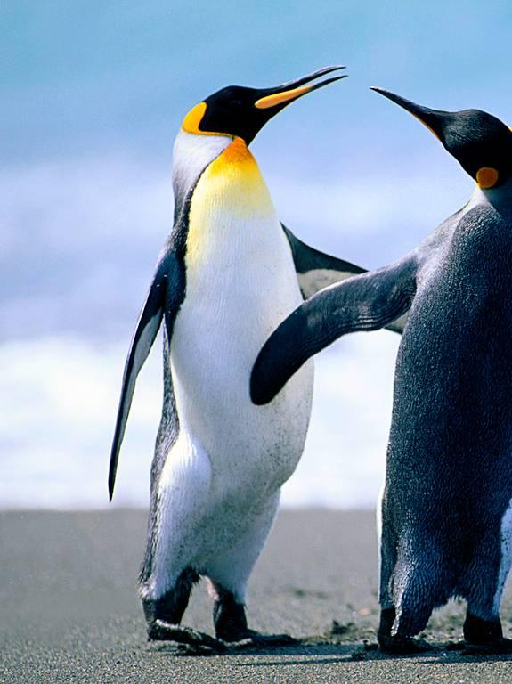 房地产 公司地址:安徽省宣城市宣城经济技术开发区熏化路与昭亭南路