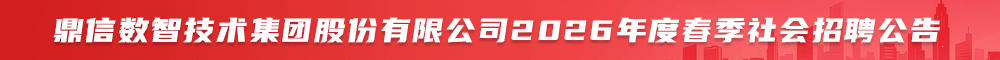 鼎信数智技术集团股份有限公司