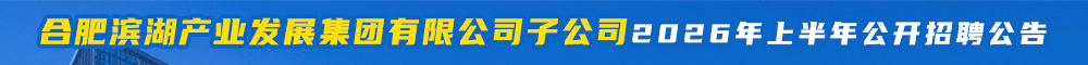 合肥滨湖产业发展集团有限公司子公司