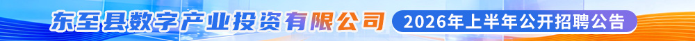 东至县数字产业投资有限公司