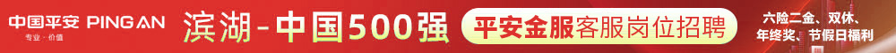 深圳平安综合金融服务有限公司