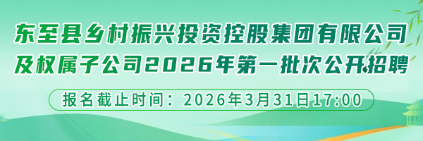 东至县乡村振兴投资控股集团有限公司