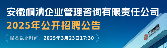 安徽桐汭企业管理咨询有限责任公司-新安人才网-合肥人才网