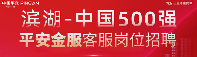深圳平安综合金融服务有限公司