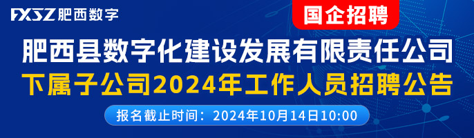 肥西縣數字化建設發展有限責任公司-新安人才網-合肥人才網