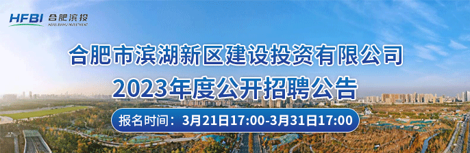合肥市滨湖新区建设投资有限公司 新安人才网 新安招聘网