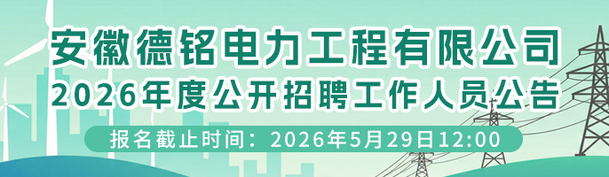 安徽德铭电力工程有限公司