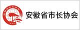 安徽省市长协会