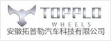 安徽拓普勒汽车科技有限公司 安庆人才网 安庆招聘网