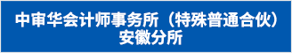 中审华会计师事务所（特殊普通合伙）安徽分所 合肥人才网 合肥招聘网