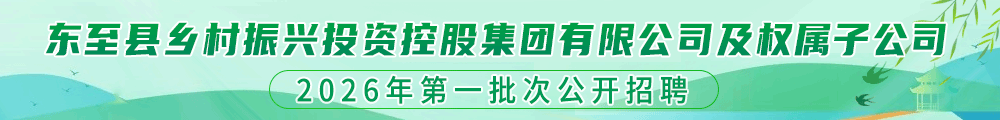 东至县乡村振兴投资控股集团有限公司